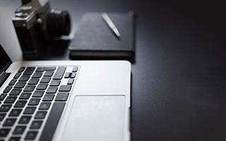 萌宠大丰收活动指南：全新宠物全收录